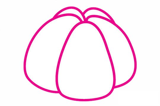 山竹简笔画图片