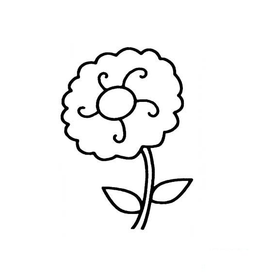菊花的简笔画法7