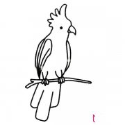 漂亮的动物简笔画大全,鹦鹉简笔画