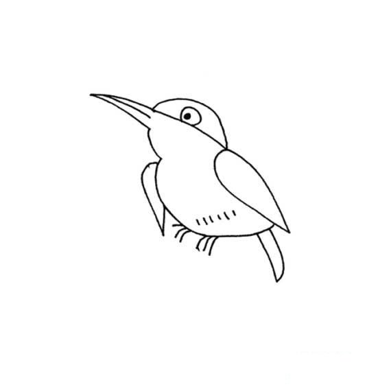 翠鸟的简笔画法飞禽类
