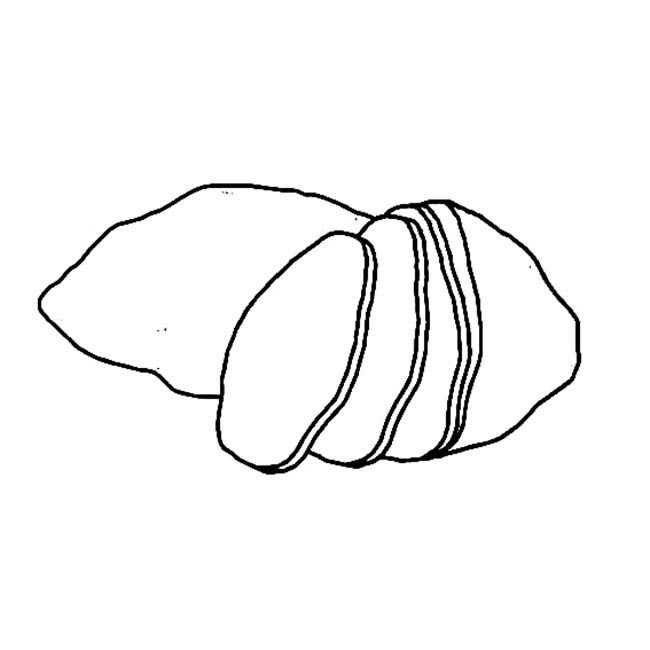 薯片食物简笔画步骤图片大全二