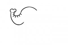 翘鼻子可爱大象简笔画步骤图解教程