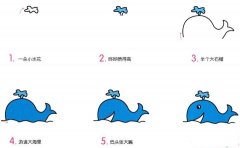 小鲸鱼简笔画画法_怎么画小鲸鱼的简笔画