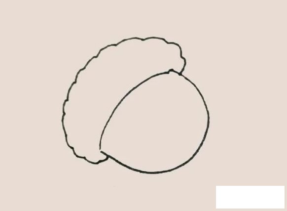 橡果简笔画的画法步骤图