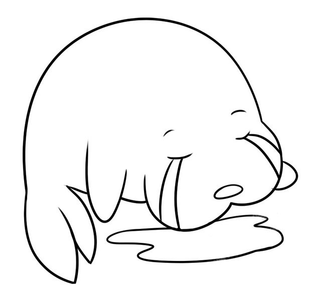 卡通海狮简笔画