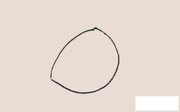 橡果简笔画的画法步骤图