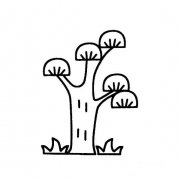 松树的简易画法3