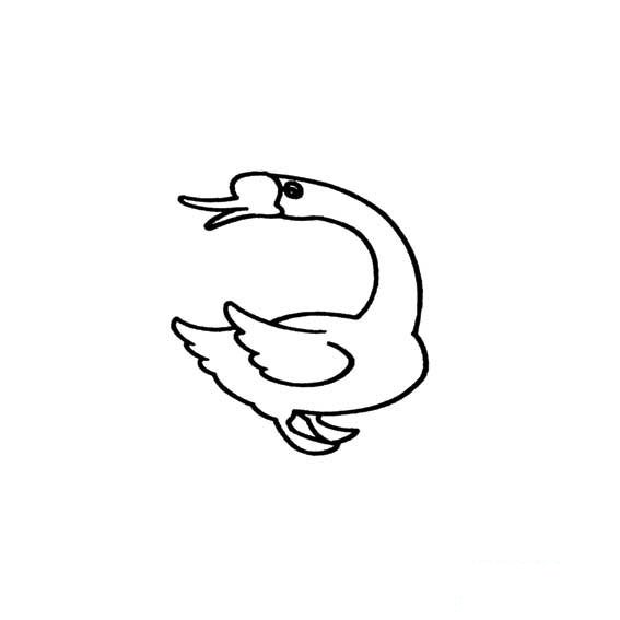 大白鹅回头的简单画法