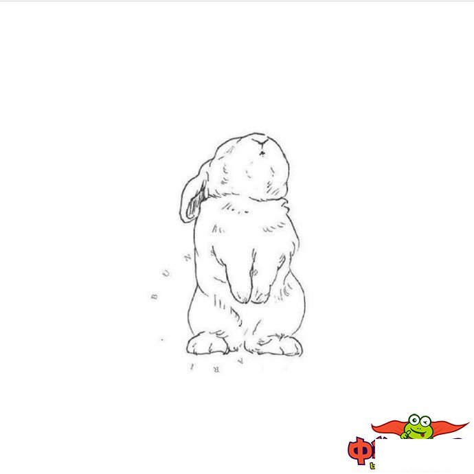 小白兔简笔画图片大全可爱,卡通可爱小白兔简笔画