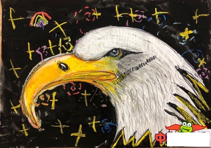 1一6年级画画图片大全,鹰