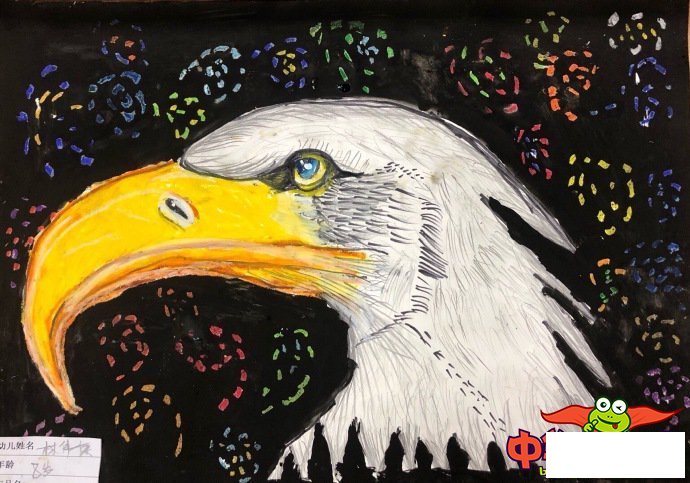 1一6年级画画图片大全,鹰