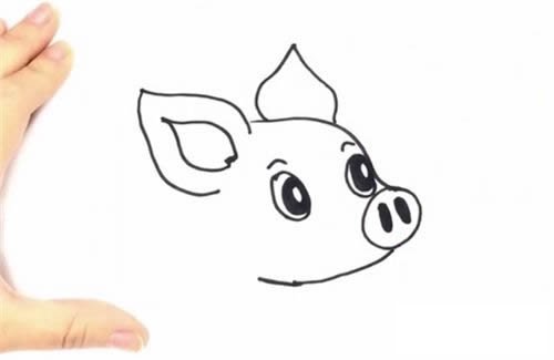 可爱小猪简笔画步骤图