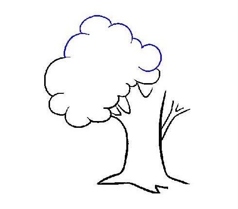 枝繁叶茂的大树简笔画