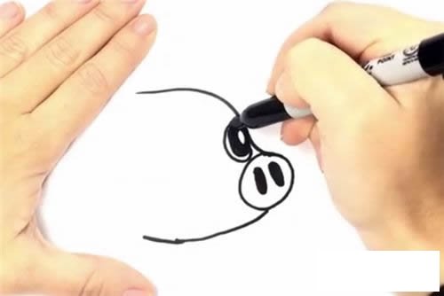 可爱小猪简笔画步骤图