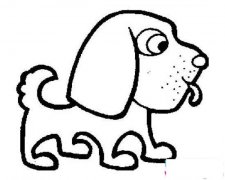 小动物简笔画:小狗