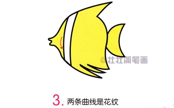 热带鱼简笔画画法_怎么画热带鱼的简笔画