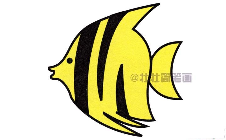 热带鱼简笔画画法_怎么画热带鱼的简笔画