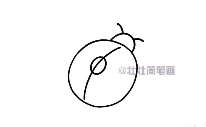 七星瓢虫简笔画画法_怎么画七星瓢虫的简笔画