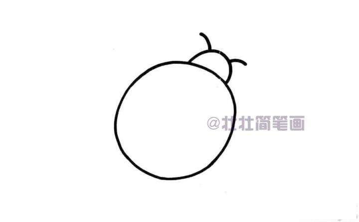 七星瓢虫简笔画画法_怎么画七星瓢虫的简笔画