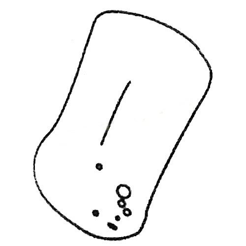 肥皂简笔画大全及画法步骤