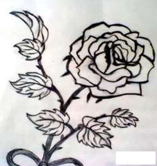 勾勒牡丹花的画法步骤
