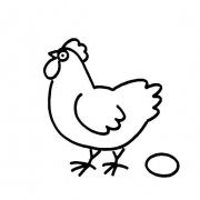 母鸡和鸡蛋的画法