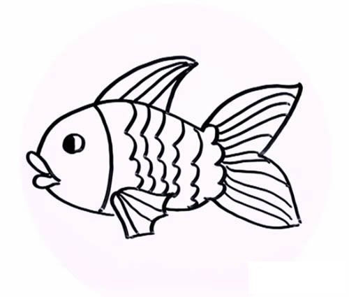 金鱼图片简笔画