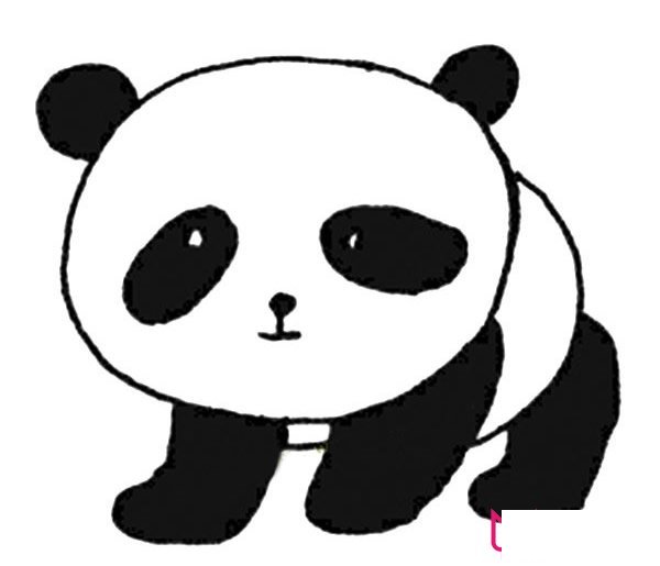 动物简笔画大全,超可爱的大熊猫简笔画