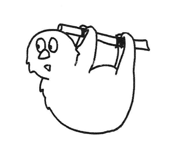 树懒简笔画图片