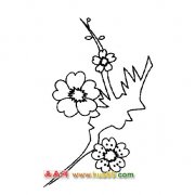 竞相争艳的梅花-花卉简笔画