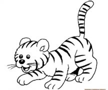 可爱的小虎仔_儿童简笔画图片3
