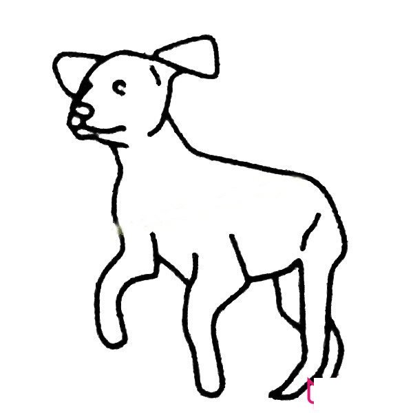 好看的小狗简笔画大全，我们的朋友