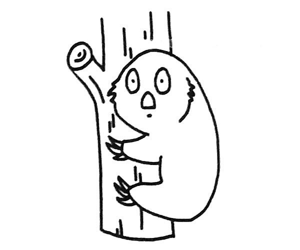 树懒简笔画图片