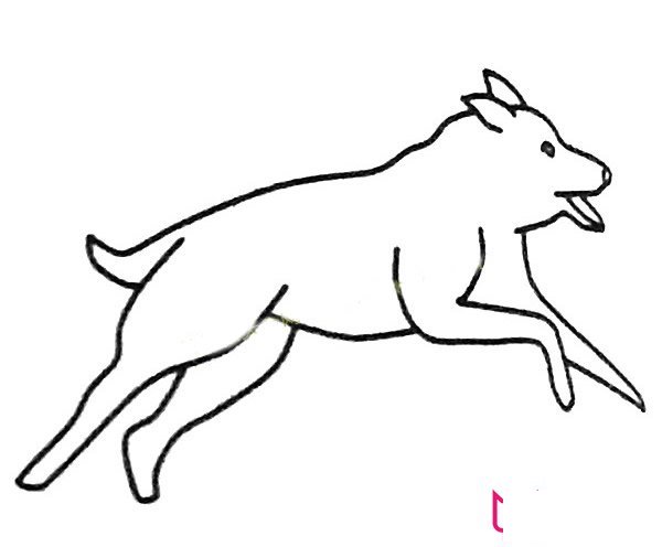 好看的小狗简笔画大全，我们的朋友