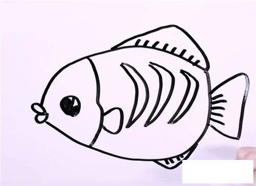 怎么画一条花斑鱼 花斑鱼的简笔画图解步骤