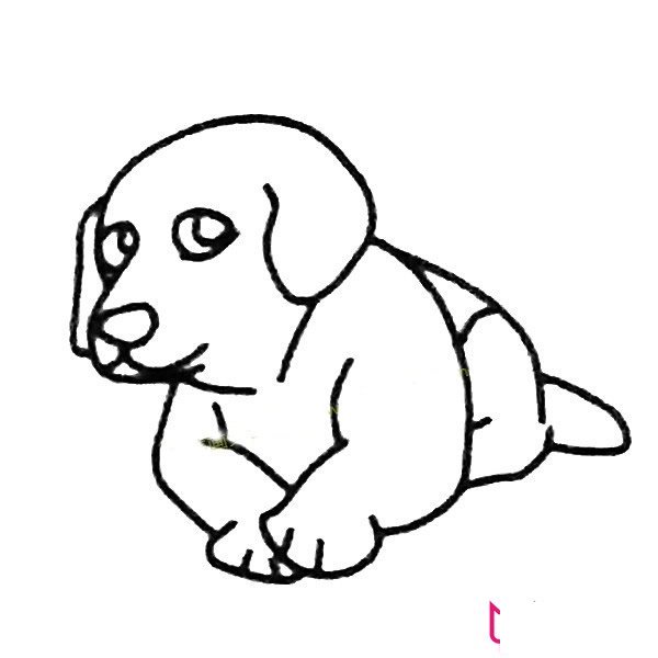 好看的小狗简笔画大全，我们的朋友