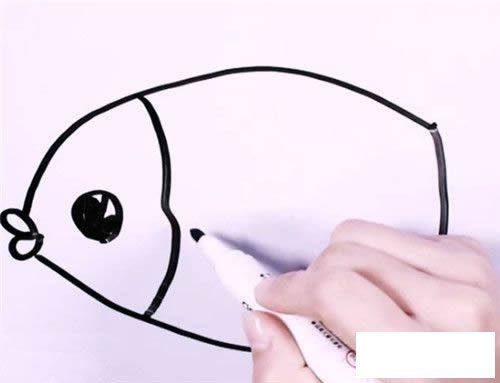 怎么画一条花斑鱼 花斑鱼的简笔画图解步骤