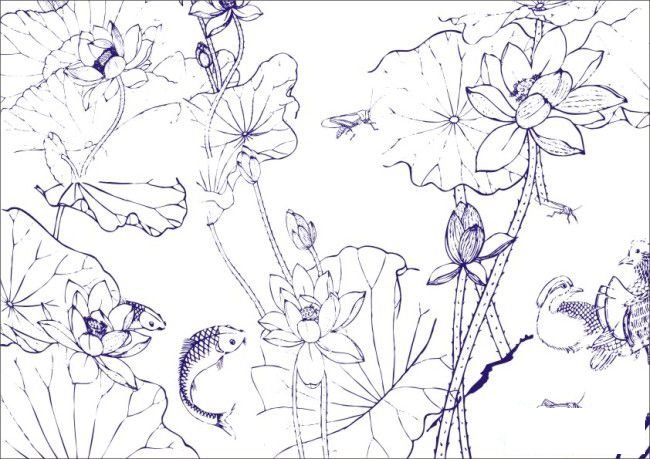 牡丹花头的画法
