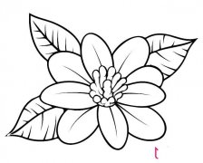 简单好看的花朵简笔画