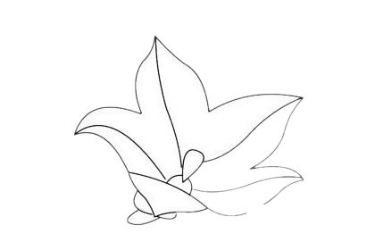 桔梗花简笔画图片