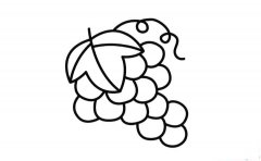 彩色葡萄简笔画画法_怎么画彩色葡萄的简笔画
