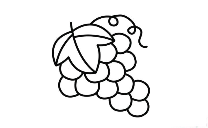 彩色简笔画葡萄的图片教程