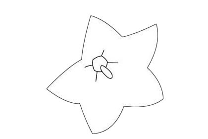 桔梗花简笔画图片