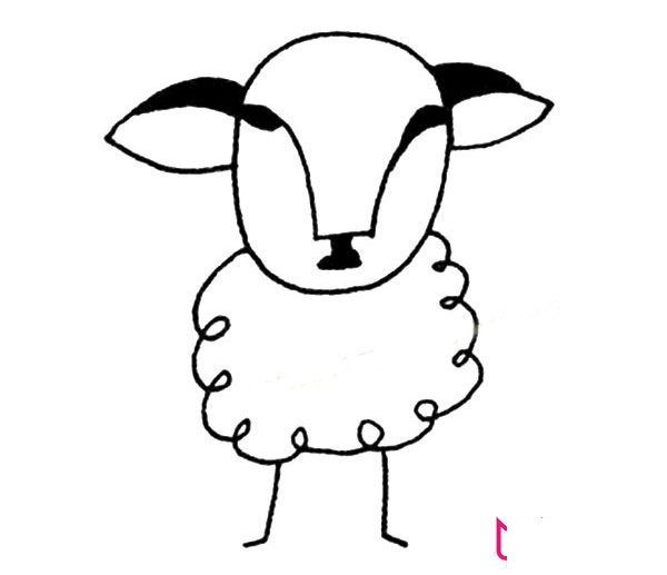 动物简笔画大全，温顺的绵羊