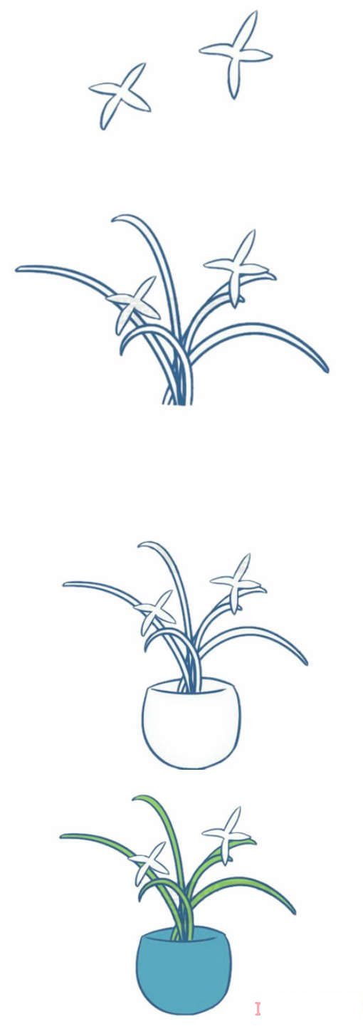 幼儿园简单兰花的画法步骤教程涂颜色