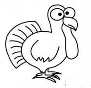 儿童感恩节火鸡简笔画图片