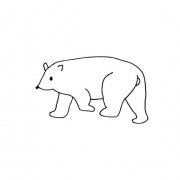 北极熊的简笔画法