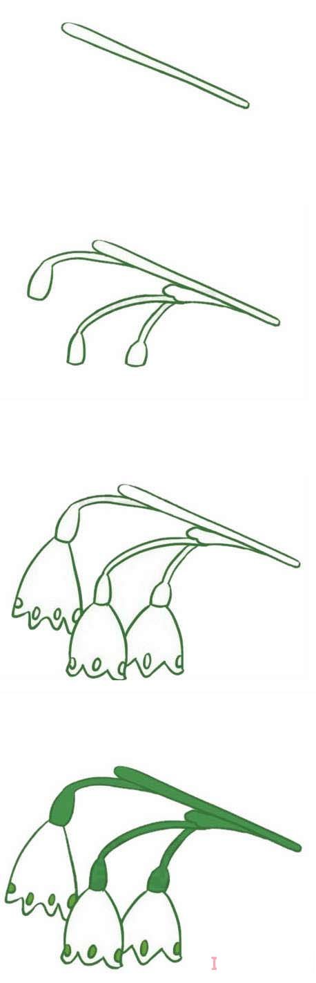 铃兰花的画法步骤图带颜色 铃兰花简笔画图片