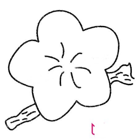 简单的简笔画花大全，梅花简笔画