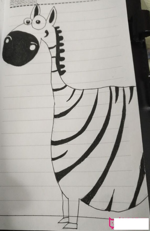 简单的动物简笔画图片,斑马简笔画